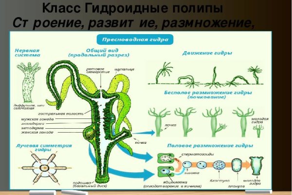 Kraken darknet onion 3dark link com