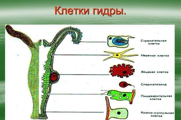 Кракен это что за магазин